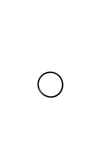 IZOR01006   O-Ring Ø16X2 NBR70